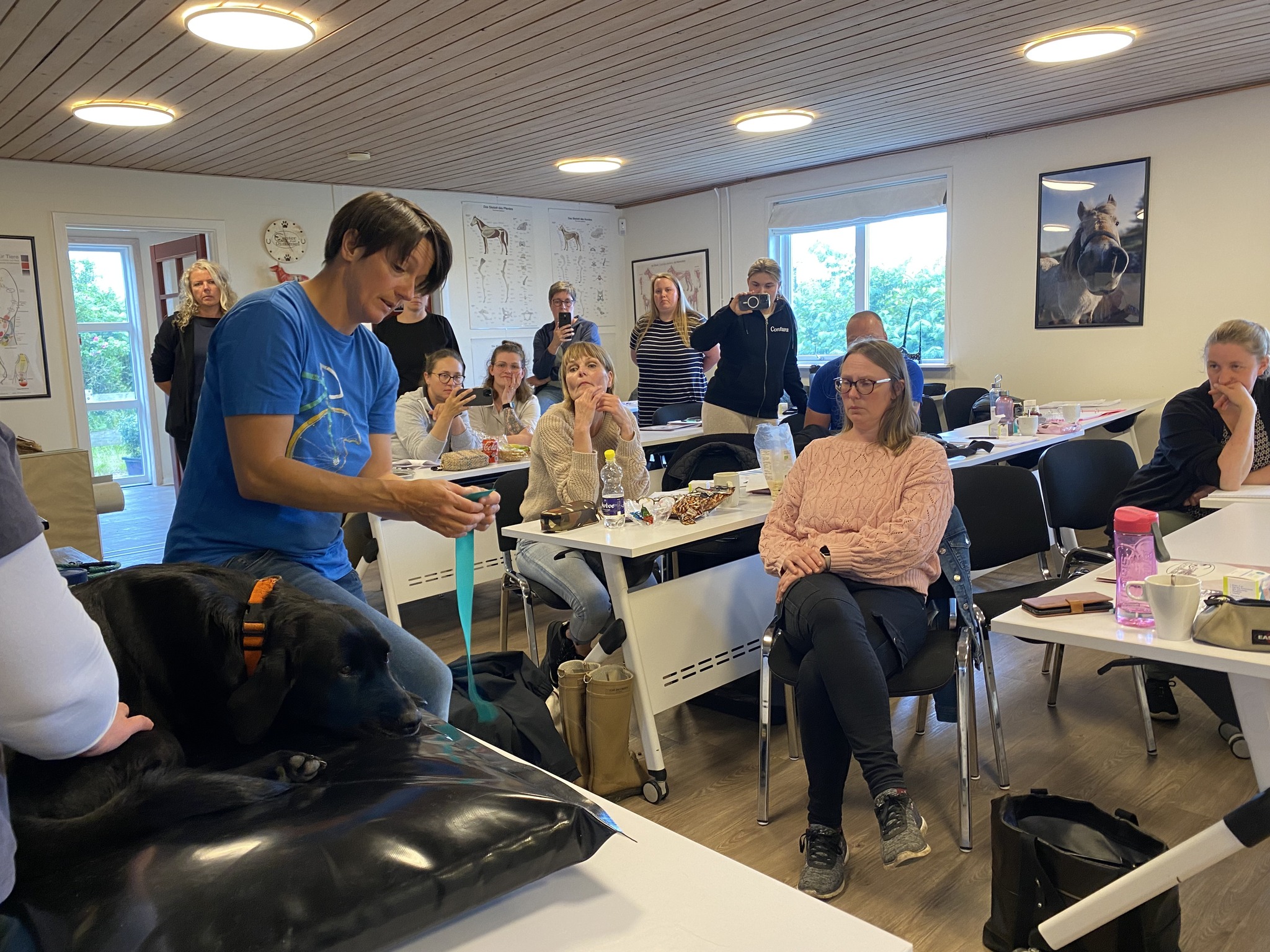 Beatrix underviser hos CFD