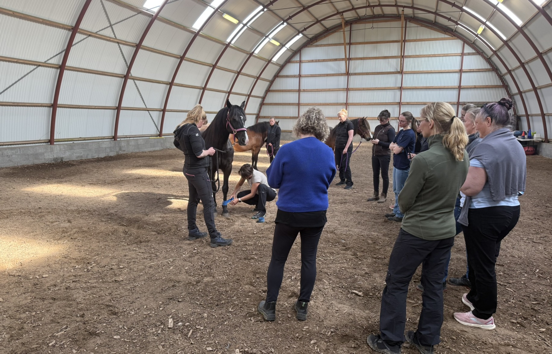 Praktisk demo på hest