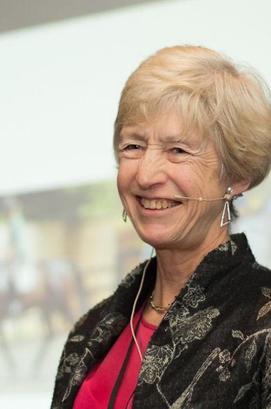 Sue dyson